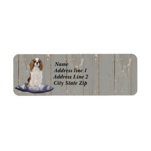 Étiquette Cute Cocker Spaniel Assis Sur Un Coussin Bleu