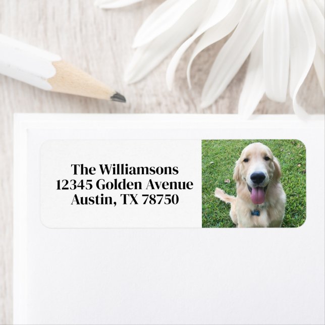 Étiquette Cute Custom Dog Photo Pet Owner Return Address (En situation)
