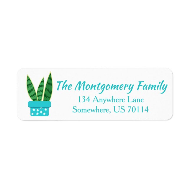 Étiquette Cute Poted Succulent Serpent Plante & Etoiles Blan (Devant)