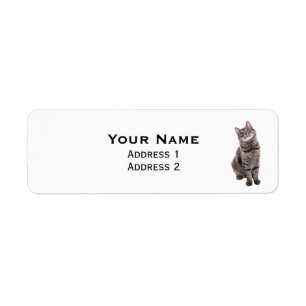 Étiquette Cute tabby Cat