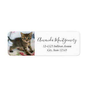 Étiquette Cute Tabby Kitten À L'Air Surpris
