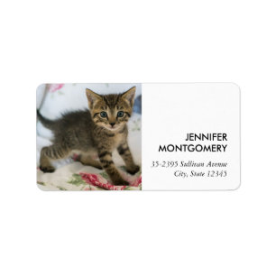 Étiquette Cute Tabby Kitten À L'Air Surpris