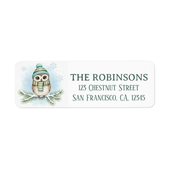 Étiquette Cute Winter Owl Snow Return Address Label (Devant)