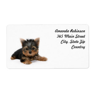 Étiquette Cute Yorkshire Terrier Puppy