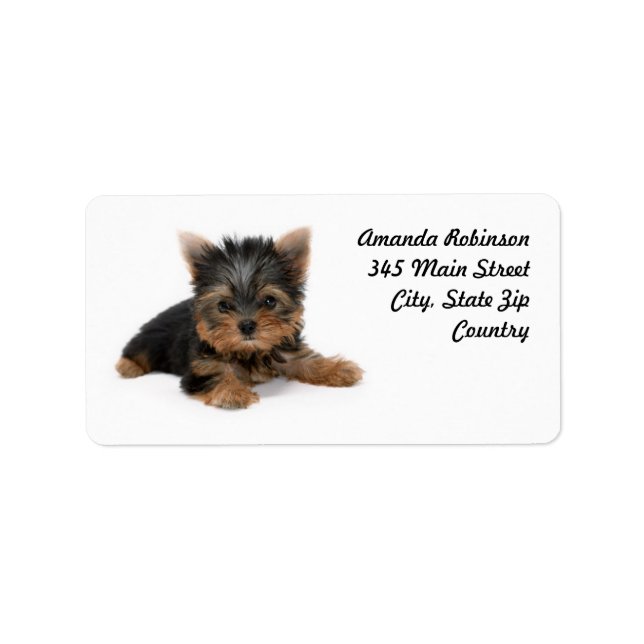 Étiquette Cute Yorkshire Terrier Puppy (Devant)