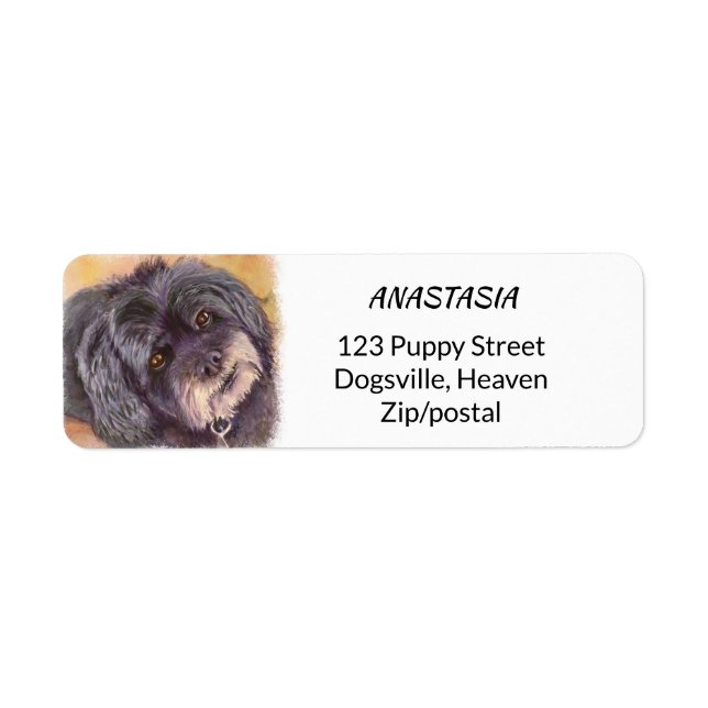 ÉTIQUETTE CUTIE NOIR COCK-A-POO MIX (Devant)