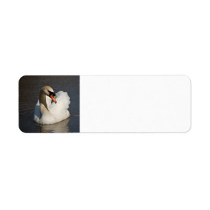 Étiquette Cygne muet