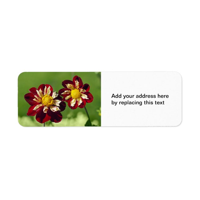Étiquette d'adresse aux Dahlia Rouge (Devant)