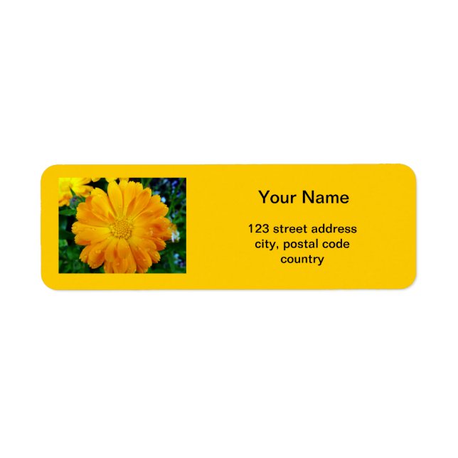étiquette d'adresse de fleur de marguerite jaune (Devant)