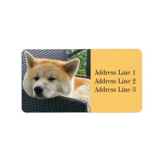 Étiquette d'adresse de photo Akita