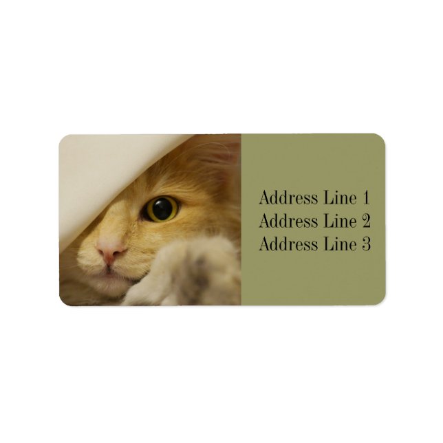 Étiquette d'adresse de photo de chaton mignon (Devant)
