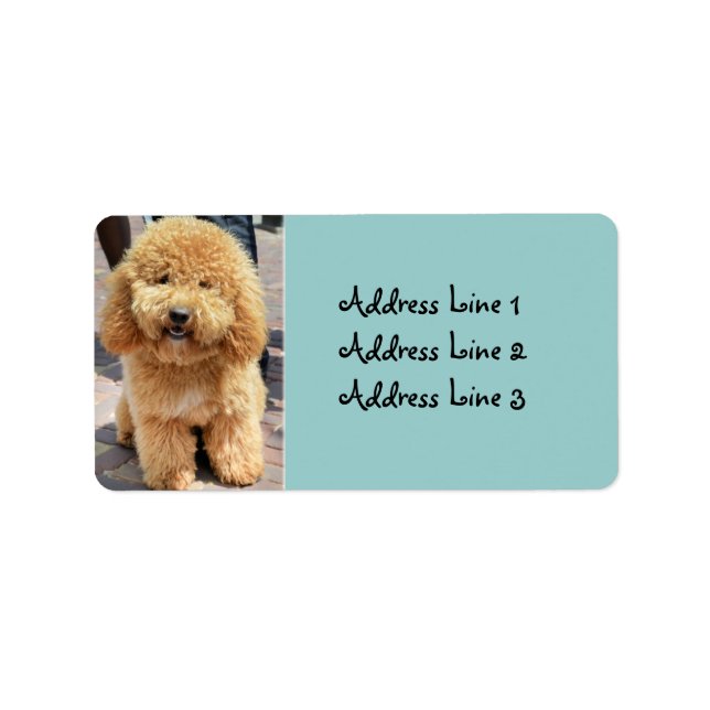 Étiquette d'adresse de photo de chien brun Fluffy  (Devant)