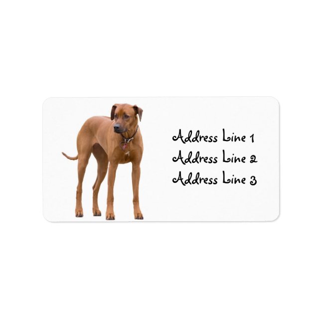 Étiquette d'adresse de photo de chien Rhodesian Ri (Devant)