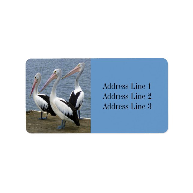 Étiquette d'adresse de photo de trois pélicans (Devant)