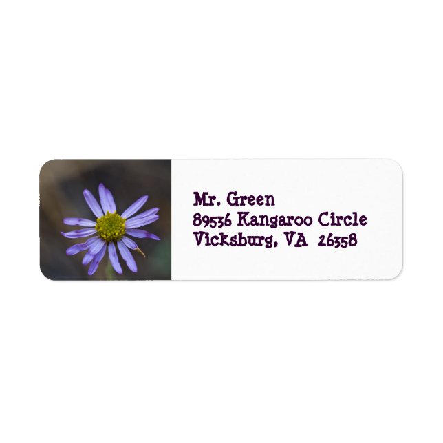 Étiquette d'adresse de retour blanc fleur sauvage  (Devant)