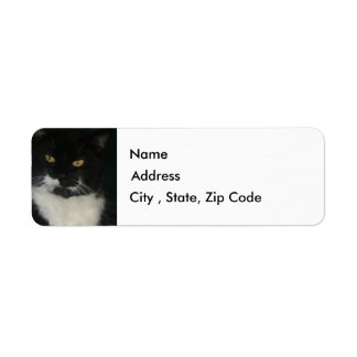 Étiquette d'adresse de retour de chat noir et blan