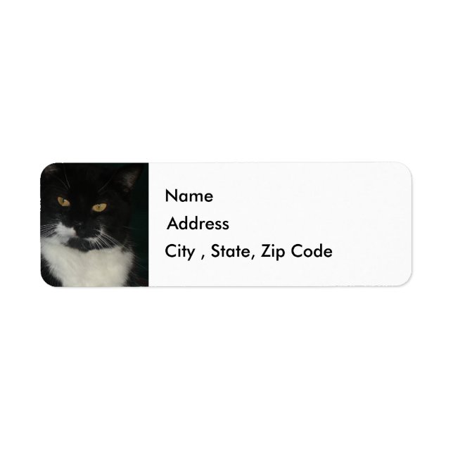 Étiquette d'adresse de retour de chat noir et blan (Devant)