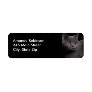 Étiquette d'adresse de retour de chat Shorthair