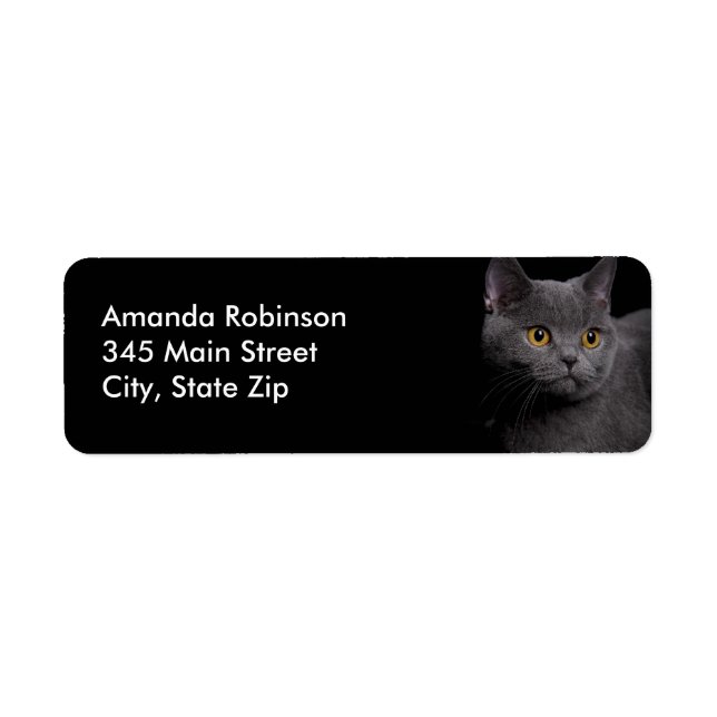 Étiquette d'adresse de retour de chat Shorthair (Devant)