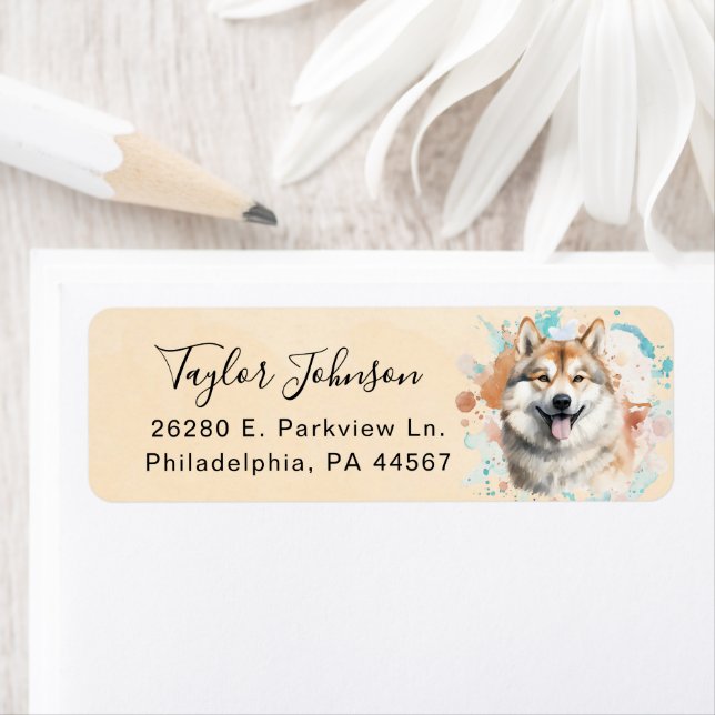 Étiquette d'adresse de retour de chien Akita (En situation)