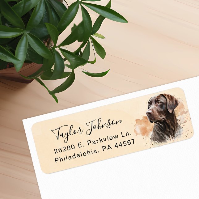 Étiquette d'adresse de retour de chien labrador ch (Créateur téléchargé)