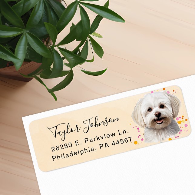 Étiquette d'adresse de retour de chien maltais (Créateur téléchargé)