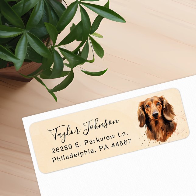Étiquette d'adresse de retour de chien teckel (Créateur téléchargé)