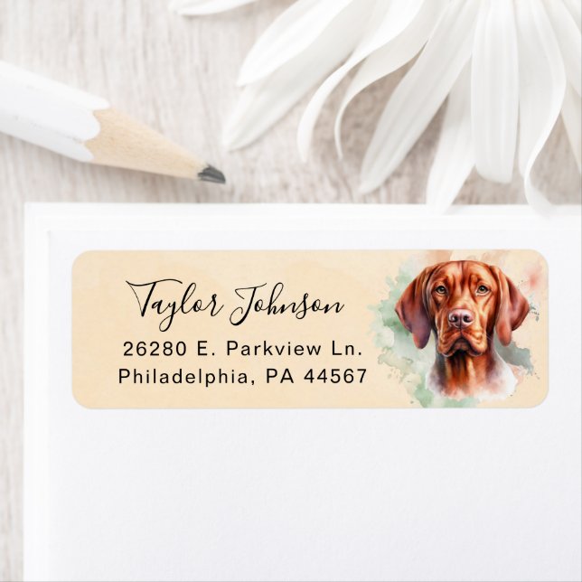 Étiquette d'adresse de retour de chien Vizsla (En situation)