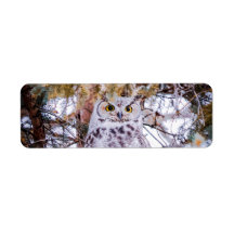 Étiquette d'adresse de retour de hibou