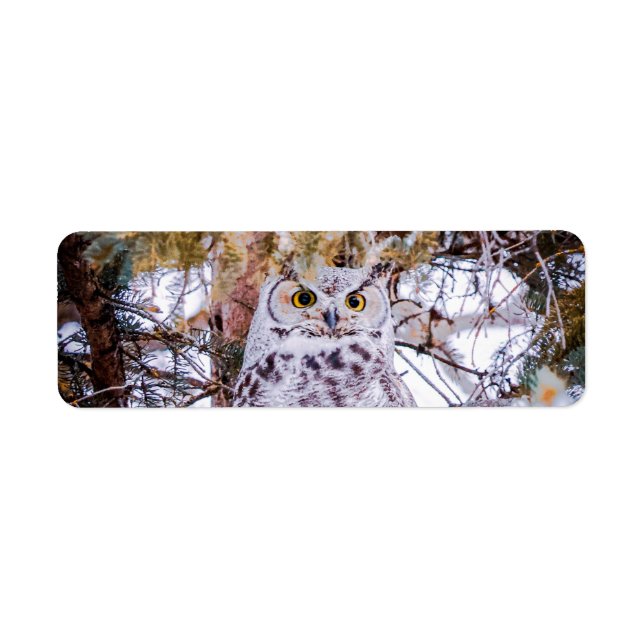 Étiquette d'adresse de retour de hibou (Devant)
