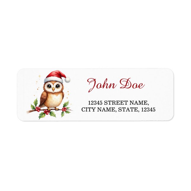 Étiquette d'adresse de retour de Noël avec hibou s (Devant)