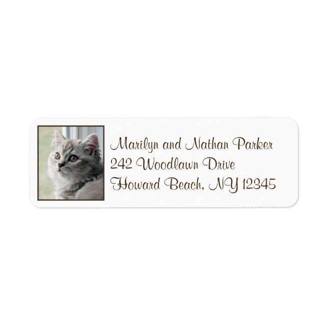 Étiquette d'adresse de retour du chaton à cheveux  (Devant)