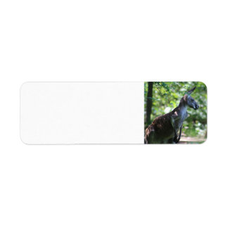 Étiquette d'adresse de retour Kangaroo
