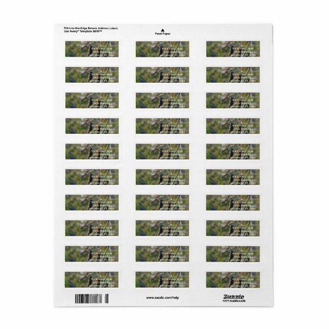 Étiquette d'adresse de retour Libellule (Feuille entière)