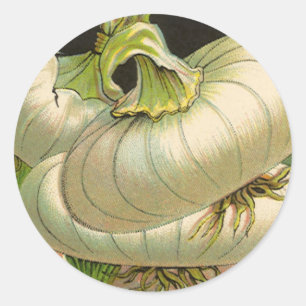 Étiquette d'art de paquet de graines vintage Oigno