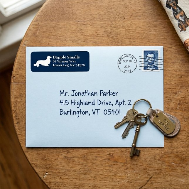 Étiquette de adresse blanc de la Marine de Long Ha (Long Hair Dachshund Navy White Address Label)
