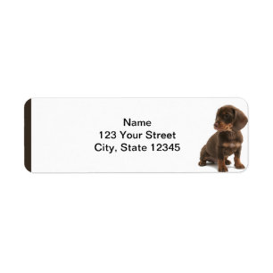 Étiquette de adresse Brown de retour de chiot de