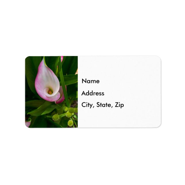 Étiquette de adresse Calla Roll (Devant)