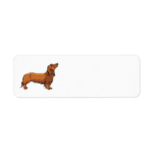 Étiquette de adresse Dachshund