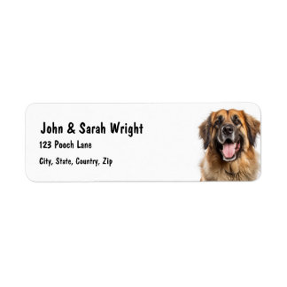 Étiquette de adresse de chien Leonburger personnal