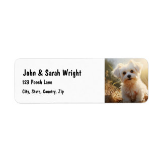 Étiquette de adresse de chien maltais mignon perso