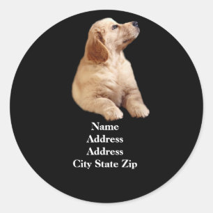 Étiquette de adresse de chiot de golden retriever
