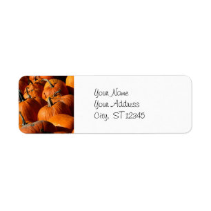 Étiquette de adresse de citrouilles
