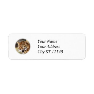 Étiquette de adresse de Jaguar