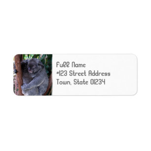 Étiquette de adresse de retour de caresse d'ours