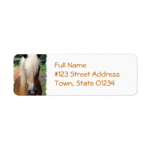 Étiquette de adresse de retour de cheval de
