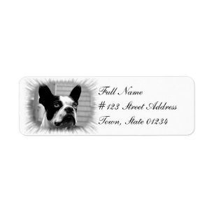 Étiquette de adresse de retour de chien de Boston