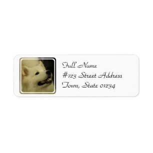 Étiquette de adresse de retour de chien de Samoye