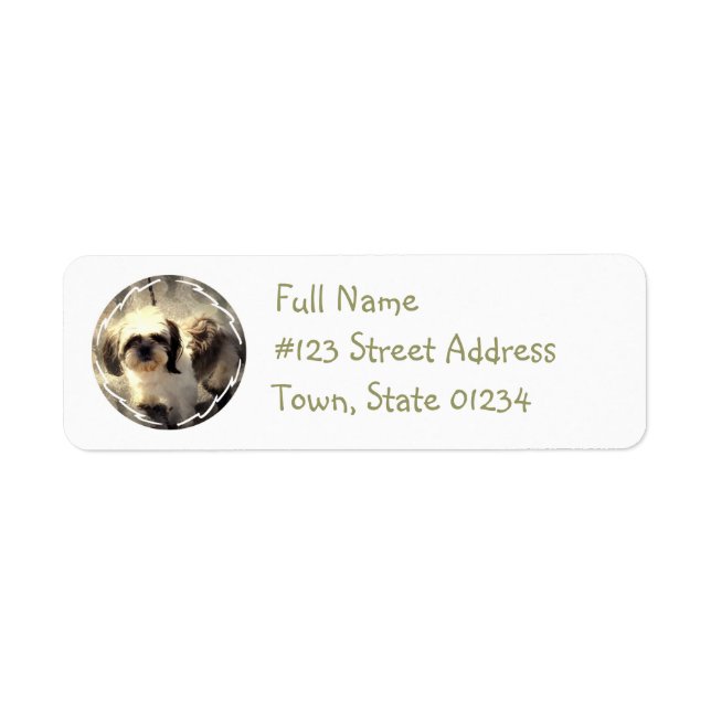 Étiquette de adresse de retour de chien de Tsu de (Devant)