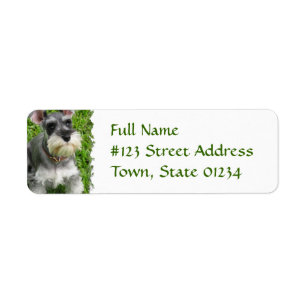 Étiquette de adresse de retour de Schnauzer